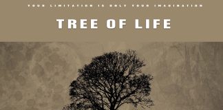 Download Freebeat: “Tree of life” – Fireboy x Young John x Asake x Teni x Seyi Vibez type beat (Prod. by Dstormbeatz) Dstormbeatz_Colos