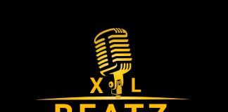 Download Freebeat: No Leave Me – Rema Type Beat (Prod by XL beatz)