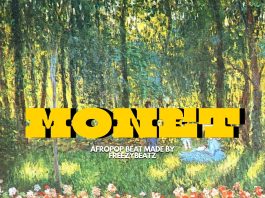 Download Freebeat: MONET AFROPOP INSTRUMENTAL (Prod by FREEZYBEATZ)