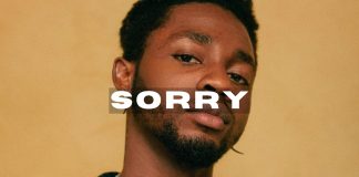 Download Freebeat : Sorry – Omah Lay Typebeat (Produced By Charmer Beats)