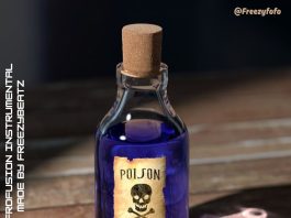 Download Freebeat: POISON AFRO-FUSION (Prod by FREEZYBEATZ)