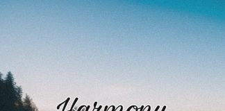 Download Freebeat: Harmony – Tems Type Beat (Prod. by sdbeatz)