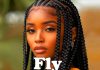 Download Freebeat : Fly – Burna Boy Typebeat (Produced By Skool Beatz)