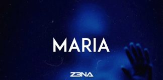 Download Freebeat : Maria – Burna Boy Typebeat (Produced By Z3NA)