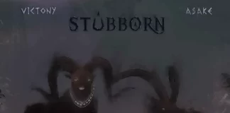 Download Instrumental: Victony – Stubborn Ft. Asake (Beat By HeliBeatz)