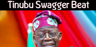 Download Freebeat:Tinubu Swagger Beat (Beat By Don Dizzy)