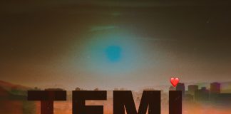 Download Freebeat : Temi – Davido Typebeat (Produced By Phynphaze)