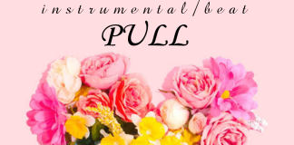 Download Freebeat: Pull – Davido Type Beat (Prod by Don Dizy)