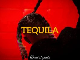 Download Freebeat: – Tequila – Young Jonn Type Beat (Prod by Beatzbymiz)