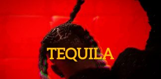 Download Freebeat: – Tequila – Young Jonn Type Beat (Prod by Beatzbymiz)