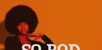 Download Freebeat: – So Bad – Wizkid Type Beat (Prod by xPerfect)