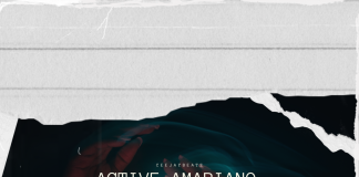 Download Freebeat: Active Amapiano – Asake Type beat(Prod by ceejaybeatz)
