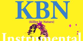 Download Freebeat: Killa by Nature – Burna Boy Type Beat (Prod by ProducerXTN)