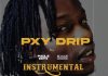 Download Freebeat: Pxy Drip – Naira Marley