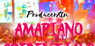 Download Freebeat: Amapiano Credentials – Shallipopi x Zerry DL x TikTok Hit Viral Type Beat (Prod. by Producer XTN)