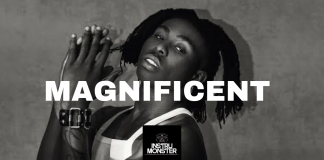 Download Freebeat: Magnificent – Fola ft Rema Type Beat (Prod. by Bankgbeatz)