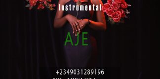 Download Freebeat: Aje – Davido x Burna Boy x Tml Vibez (Prod. by Workwithwhimzy)