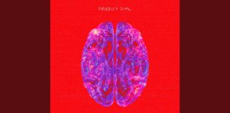 Download Instrumental: Fireboy DML – Dopamine (Beat By Rihtah)