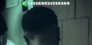 Download Freebeat: United – Wizkid TypeBeat (Prod. by Sdbeatz)