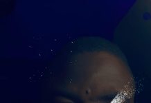 Download Freebeat: My Ghana Jollof (Prod. by Sense Beat)
