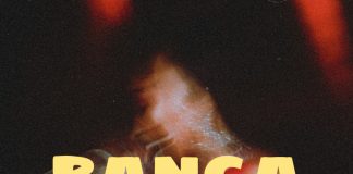 Download Freebeat: Banga – Young Jonn Type Beat (Prod. by Sdbeatz)