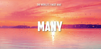Download Freebeat: MANY – Emotional Type Beat (Prod. by Bazestop)