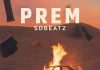 Download Freebeat: Prem (Prod. by Sdbeatz)