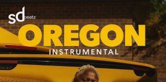Download Freebeat: Oregon (Prod. by Sdbeatz)