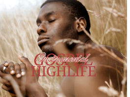 DOWNLOAD FREE GOSPEL HIGHLIFE INSTRUMENTAL MADE BY FREEZYFOFO FREEZYBEATZ