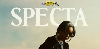 Download Freebeat: Specta (Prod. by Sdbeatz)
