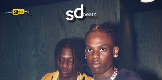 Download Freebeat: Ace – Rema Type Beat (Prod. by Sdbeatz)
