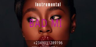 Download Freebeat: Bad Mi – Tml Vibez x Davido x Seyi Vibez Type Beat (Prod. by Workwithwhimzy)