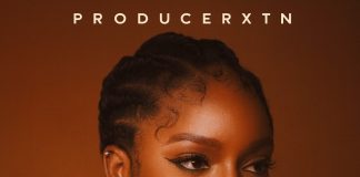 Download Freebeat: First Night – Ayra Starr x Wizkid x Tems Type Beat (Prod. by Producer Xtn)