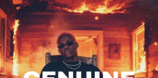 Download Freebeat: Genuine – Fireboy Type Beat (Prod. by Sdbeatz)