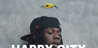 Download Freebeat: Happy City – Rema x Young John Type Beat (Prod. by Sdbeatz)