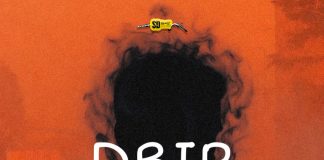 Download Freebeat: Drip (Prod. by Sdbeatz)