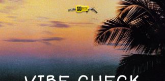 Download Freebeat: Vibe Check (Prod. by Sdbeatz)