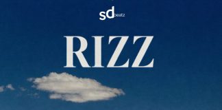 Download Freebeat: Rizz (Prod. by Sdbeatz)