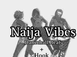 Download Freebeat: NaijaVibes Dancehall Beat (Prod. by Khemikhals Beatz)