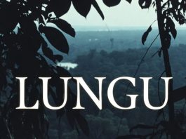 Download Freebeat: Lungu (Prod. by Sdbeatz)