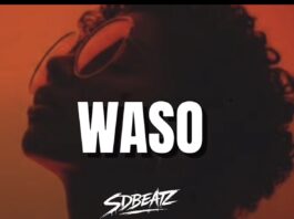 Download Freebeat: Waso (Prod. by Sdbeatz)