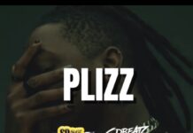 Download Freebeat: Plizz (Prod. by Sdbeatz)