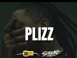 Download Freebeat: Plizz (Prod. by Sdbeatz)