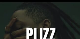 Download Freebeat: Plizz (Prod. by Sdbeatz)