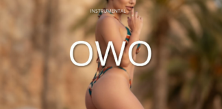 Download Freebeat: Owo (Prod. by Bazestop)
