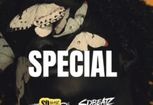 Download Freebeat: Special (Prod. by Sdbeatz)
