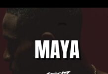 Download Freebeat: Maya (Prod. by Sdbeatz)