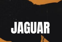 Download Freebeat: Jaguar (Prod. by Sdbeatz)