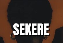 Download Freebeat: Sekere (Prod. by Sdbeatz)