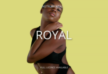 Download Freebeat: Royal – Fola Type Beat (Prod. by Bazestop)